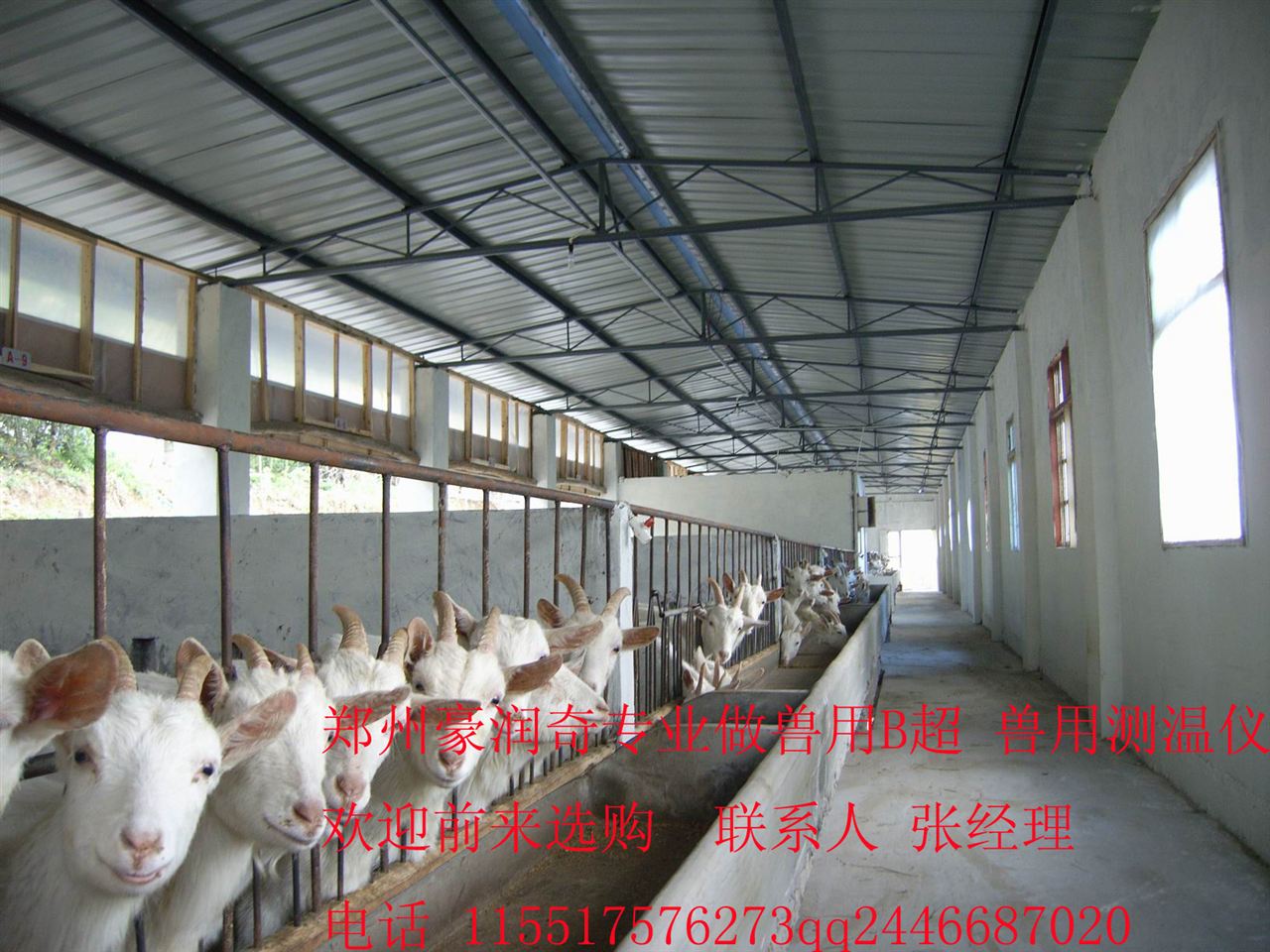 具有 B、2B/BM/4B/M 五种显示模式;可实现图像实时、冻结、放大;病历号、年龄、性别注释;距离、周长、面积、心率和马、牛、羊、猫、狗的孕龄测量;图像灰阶 256 级。 交流适配器和内置锂离子可充电电池相结合的供电方式,三种电池充电方式,特设节电模式,使电池供电更持久。 采用 7 英寸 TFT-LCD 显示和可编程器件(FPGA)以及表面安装技术(SMT),整机体积小、重量轻。 PAL-D 制视频输出。具有鼠标器接口。 注塑外壳手持式结构,便于开展对大动物和小动物的诊断。 扫描方式:电子