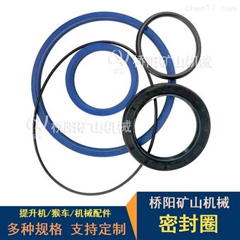 绞车制动器密封圈  提升机刹车系统用防尘圈