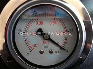 YN/YTN系列不銹鋼耐震壓力表