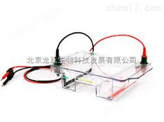 伯乐宽式Mini水平电泳槽 1704469 Wind Mini-Sub Cell GT