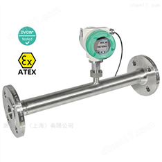 VA 570集成測量段的嵌入式流量計(jì)