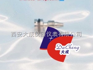 DC-Y-131-樣水流速調(diào)節(jié)螺釘09210=A=0105