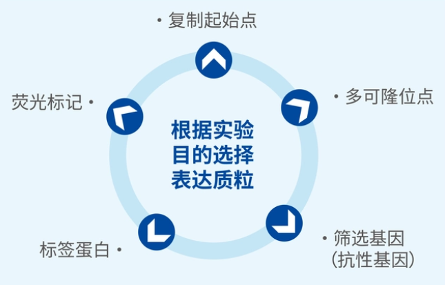 圖片.png