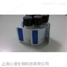 支鏈淀粉9037-22-3