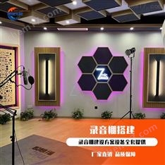 音頻工作站設(shè)計(jì)錄音棚搭建方案廠家視聽室