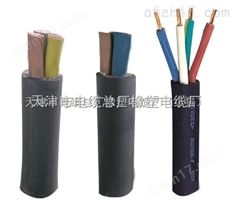 JHS污水泵【防水】JHS-3*10+1*6橡皮電纜
